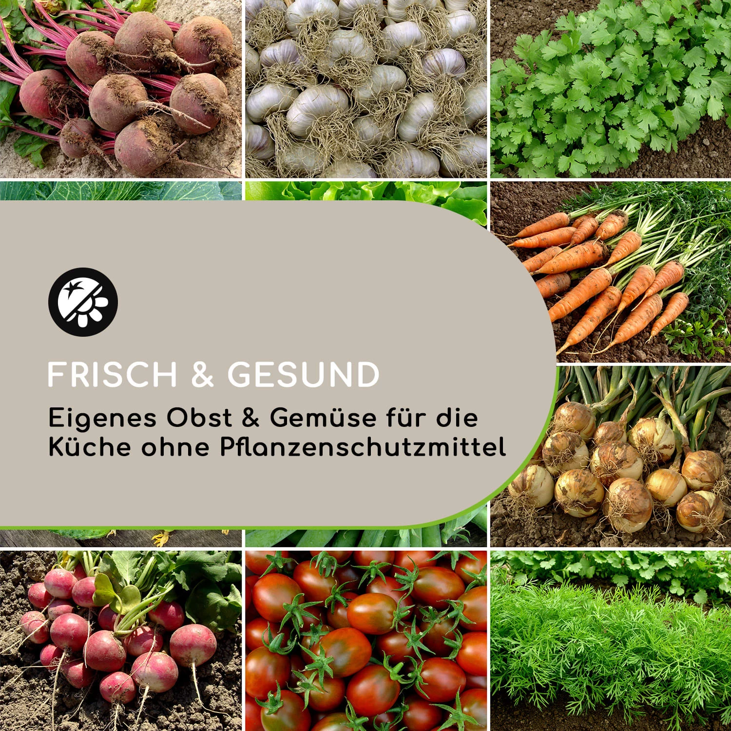 High Grow Straight Hochbeet 180x60x90cm 970l Stahl Verzinkt Silber 5 High Grow Straight Hochbeet 180x60x90cm 970l Stahl Verzinkt Silber – Bild 3
