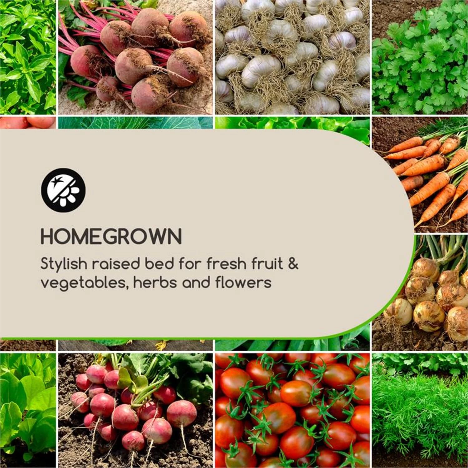 Modu Grow 50 Hochbeet 50 X 45 X 50 Cm Kiefernholz Kiefer – Bild 3