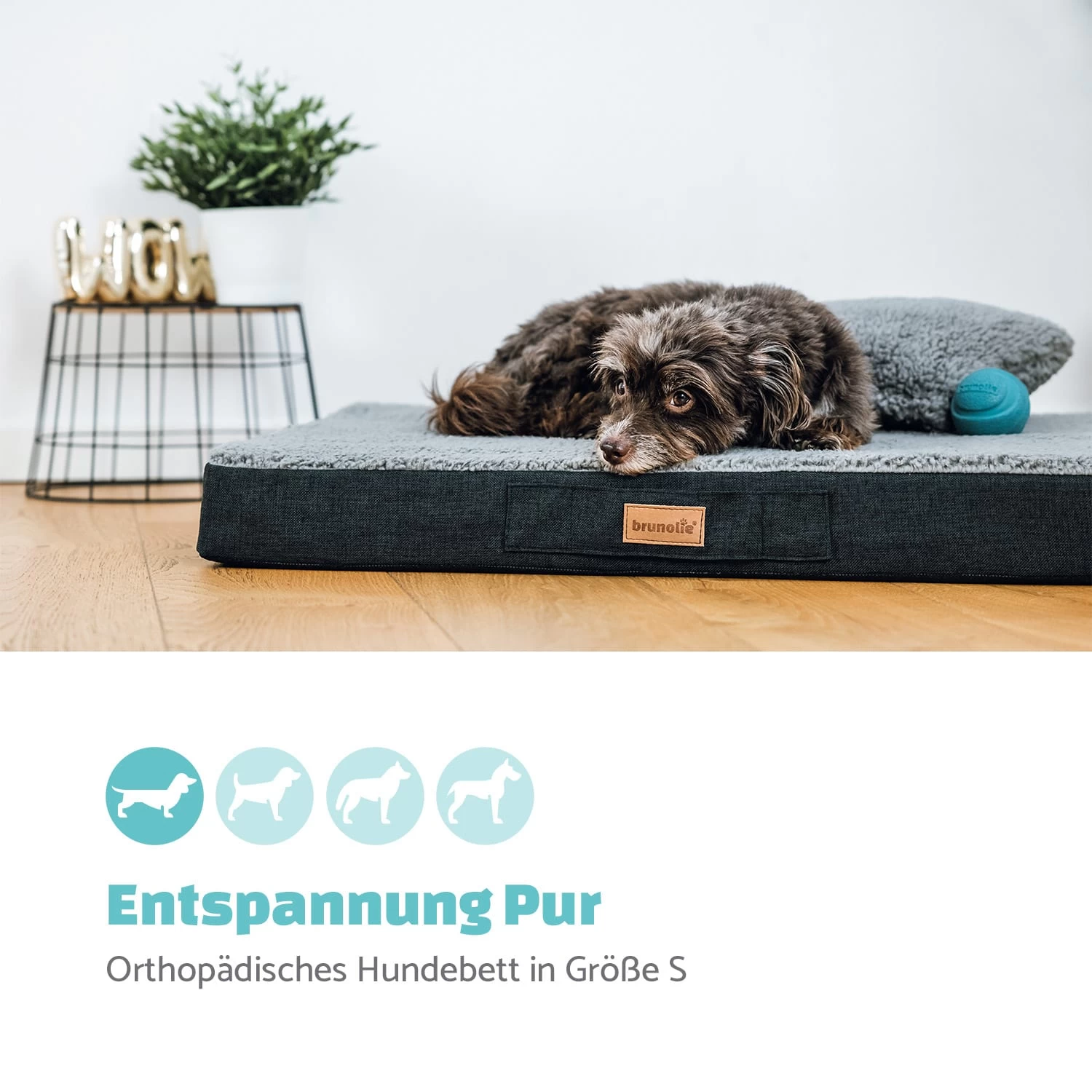 Balu Hundebett Hundekissen | Waschbar | Orthopädisch | Rutschfest | Atmungsaktiver Memory-Schaum | Größe S (72 X 8 X 50 Cm) 4 Balu Hundebett Hundekissen | Waschbar | Orthopädisch | Rutschfest | Atmungsaktiver Memory-Schaum | Größe S (72 X 8 X 50 Cm) – Bild 2