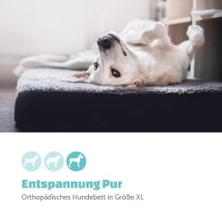 Hundebett Hundematte | Waschbar | Orthopädisch | Rutschfest | Atmungsaktiv | Klappbar Memory-Schaum | Größe XL (120 X 10 X 85 Cm) -Gartenwelt Verkauf 10037571 de 0002 logo