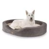Lotte Hundebett Waschbar Orthopädisch Memory-Schaum Größe XL 2 Lotte Hundebett Waschbar Orthopädisch Memory-Schaum Größe XL -Gartenwelt Verkauf 10037581 yy 0001 titel