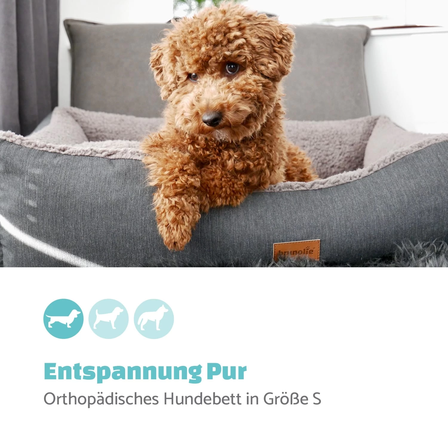 Emma Hundebett Hundekorb | Waschbar | Rutschfest | Atmungsaktiv | Wendematratze | Kissen | Größe S (67 X 20 X 59 Cm) 3 Emma Hundebett Hundekorb | Waschbar | Rutschfest | Atmungsaktiv | Wendematratze | Kissen | Größe S (67 X 20 X 59 Cm) – Bild 2