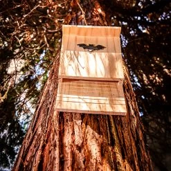 Fledermaushaus Nistkasten Überwinterungshilfe Ganzjährig Kiefer -Gartenwelt Verkauf 10038132 yy 0005 logo