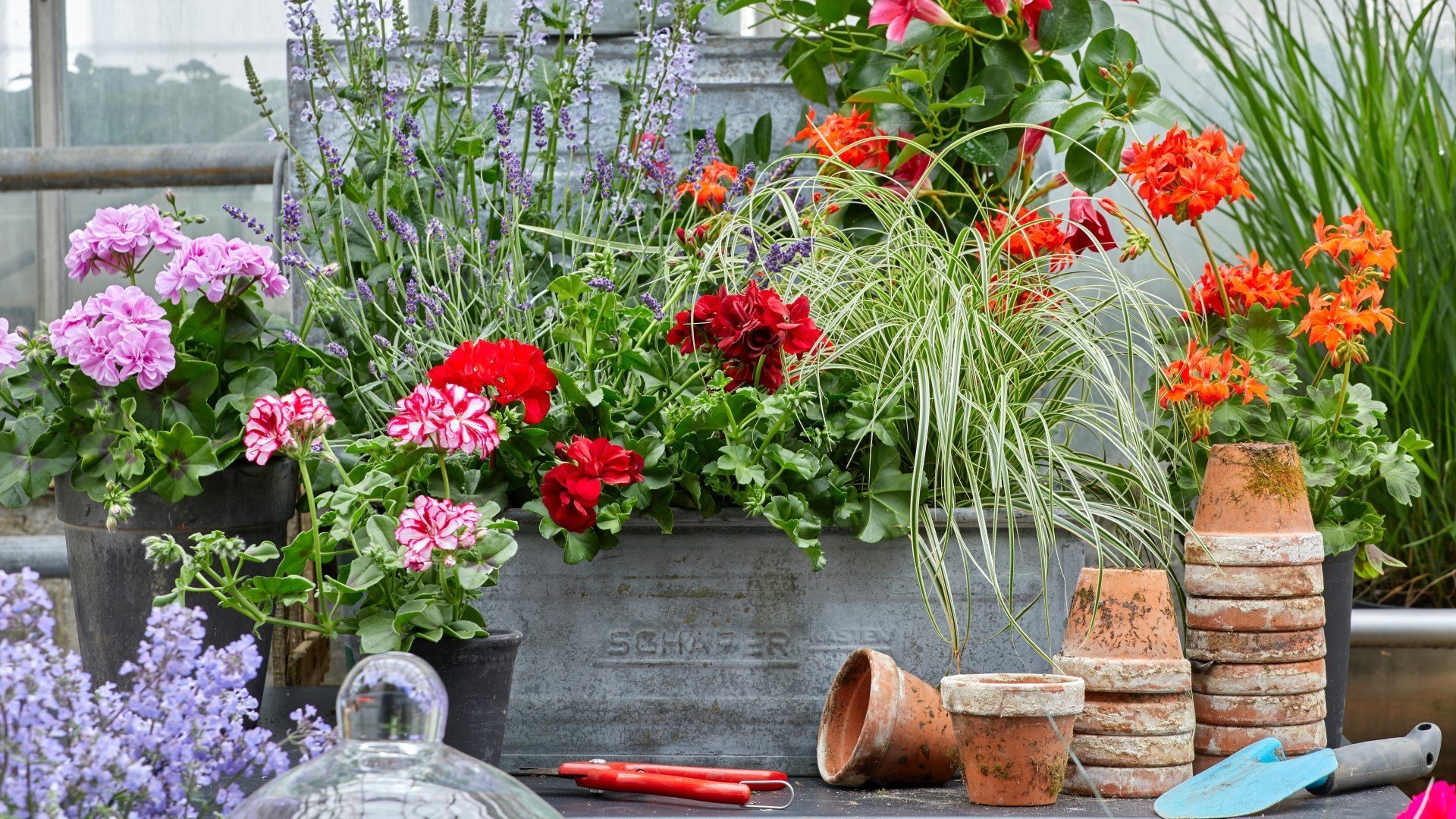 Gartenwelt Verkauf -Gartenwelt Verkauf april gardening guide 01 1920x1080 1